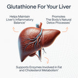 Liposomal Glutathione
