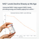 Liposomal NAD+